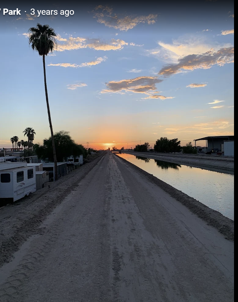 Sunset over the canal beside the park with a tall palm tree